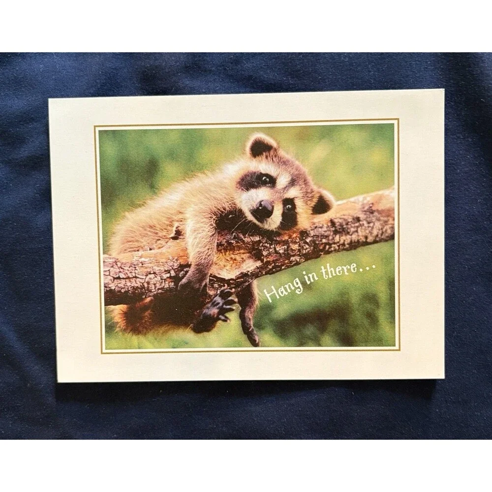 Get Well Soon Card with White Envelope | Raccoon design by NWF